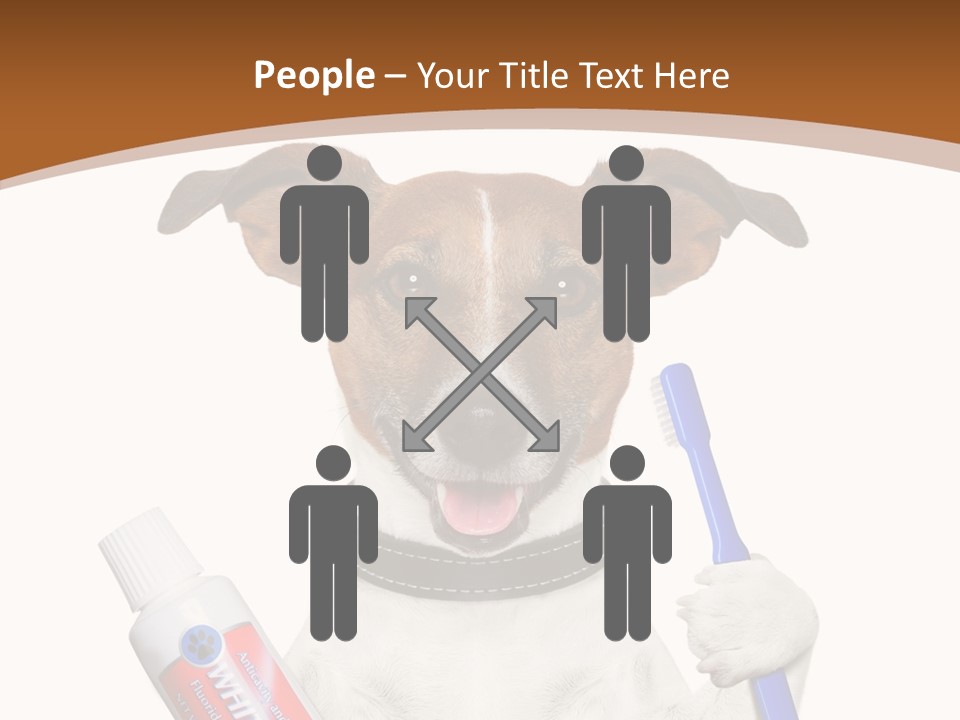 Gel Bleach Funny PowerPoint Template