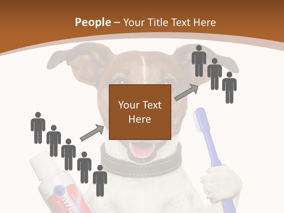 Gel Bleach Funny PowerPoint Template