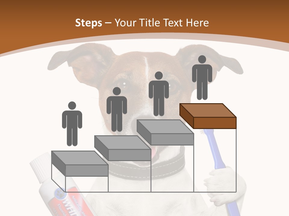 Gel Bleach Funny PowerPoint Template