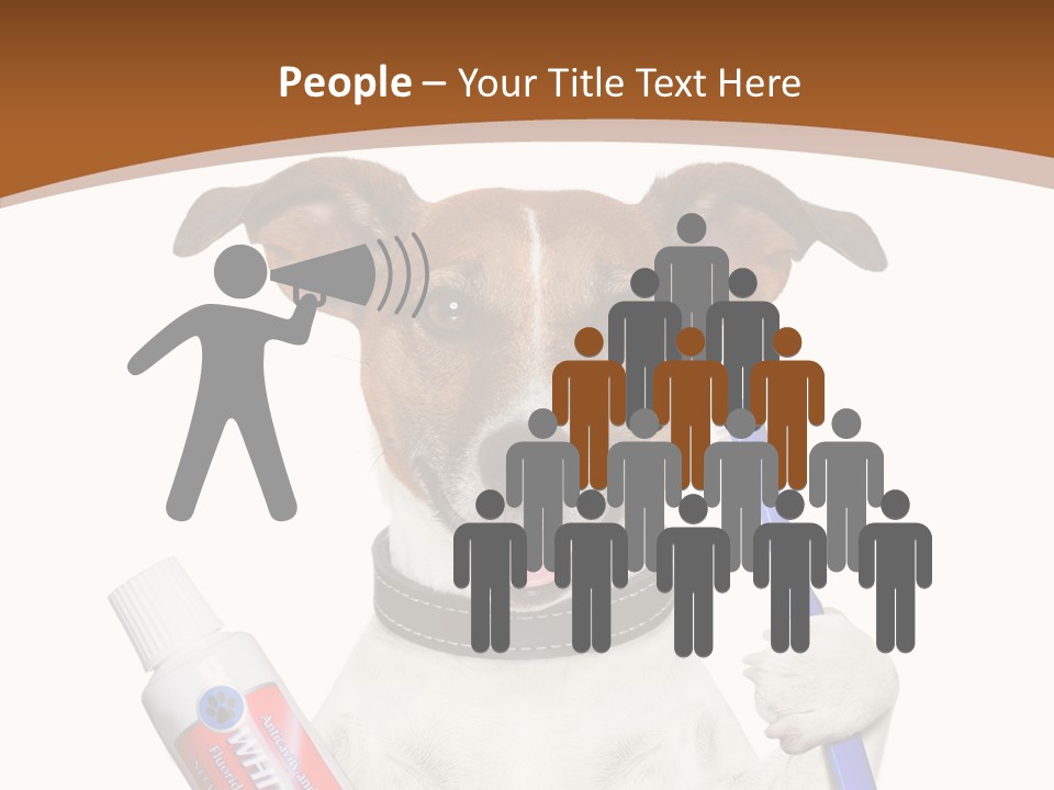 Gel Bleach Funny PowerPoint Template