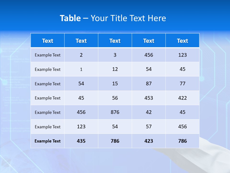 Network Internet Business PowerPoint Template