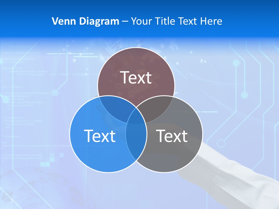 Network Internet Business PowerPoint Template