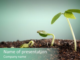 Botany Isolated Reforestation PowerPoint Template