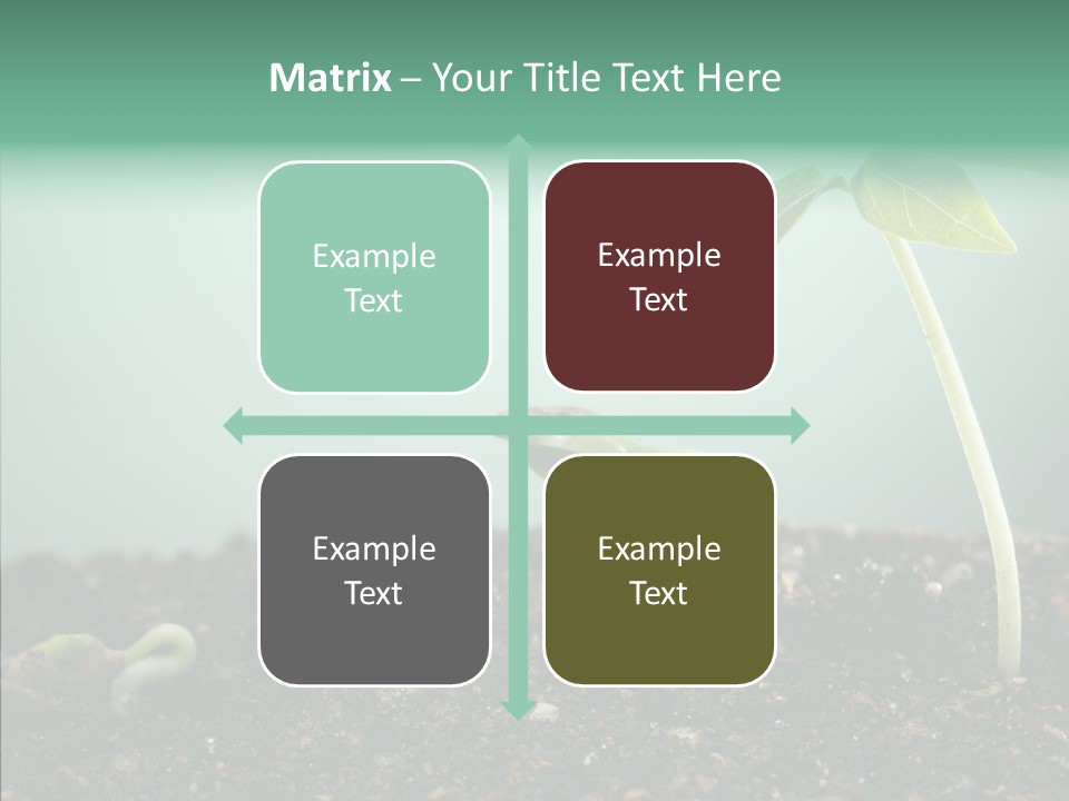 Botany Isolated Reforestation PowerPoint Template