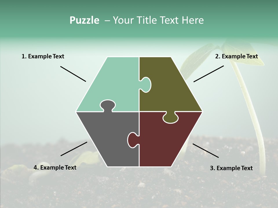 Botany Isolated Reforestation PowerPoint Template