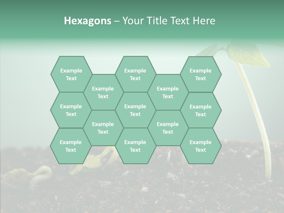 Botany Isolated Reforestation PowerPoint Template