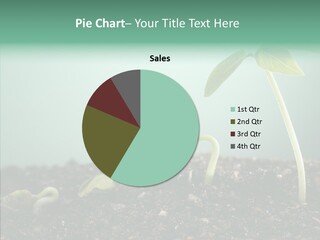 Botany Isolated Reforestation PowerPoint Template