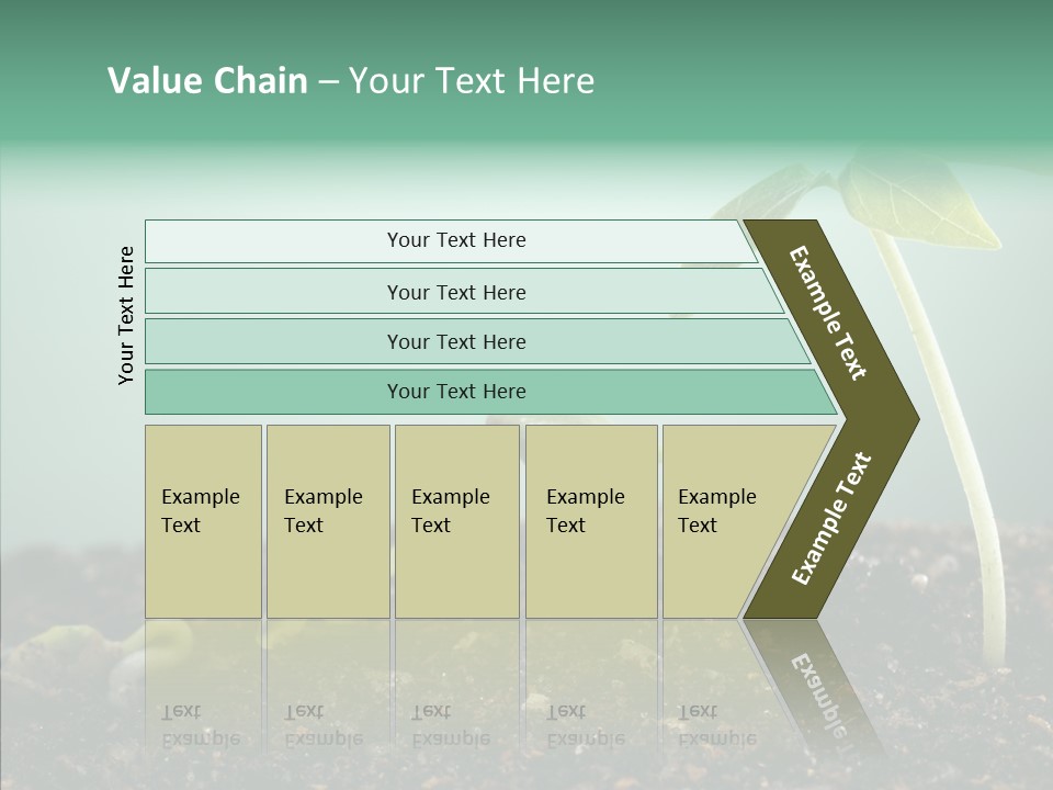 Botany Isolated Reforestation PowerPoint Template