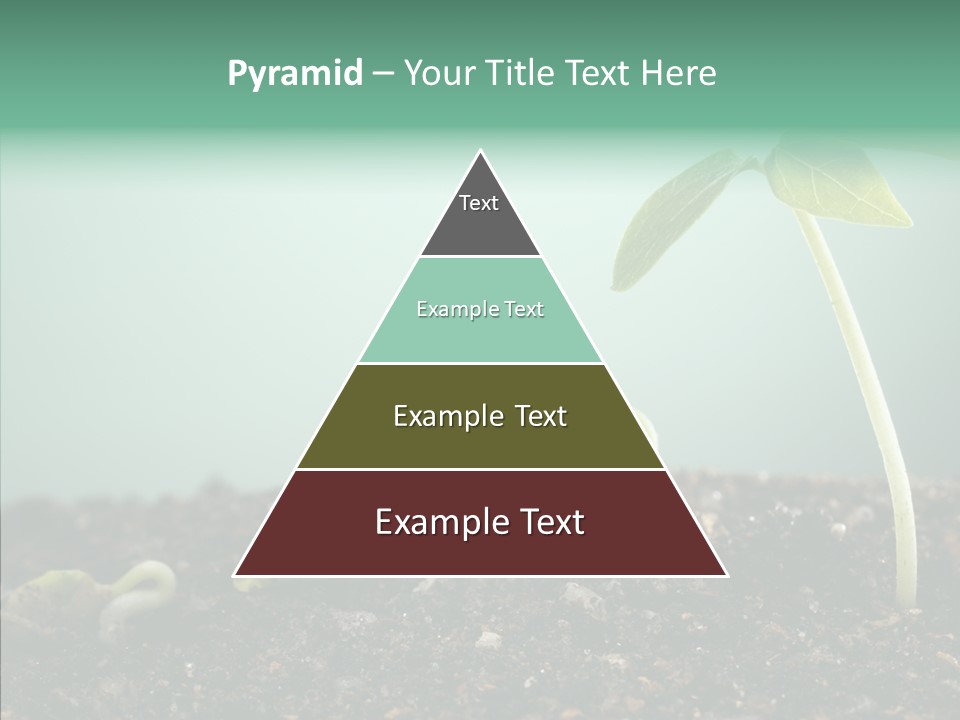 Botany Isolated Reforestation PowerPoint Template