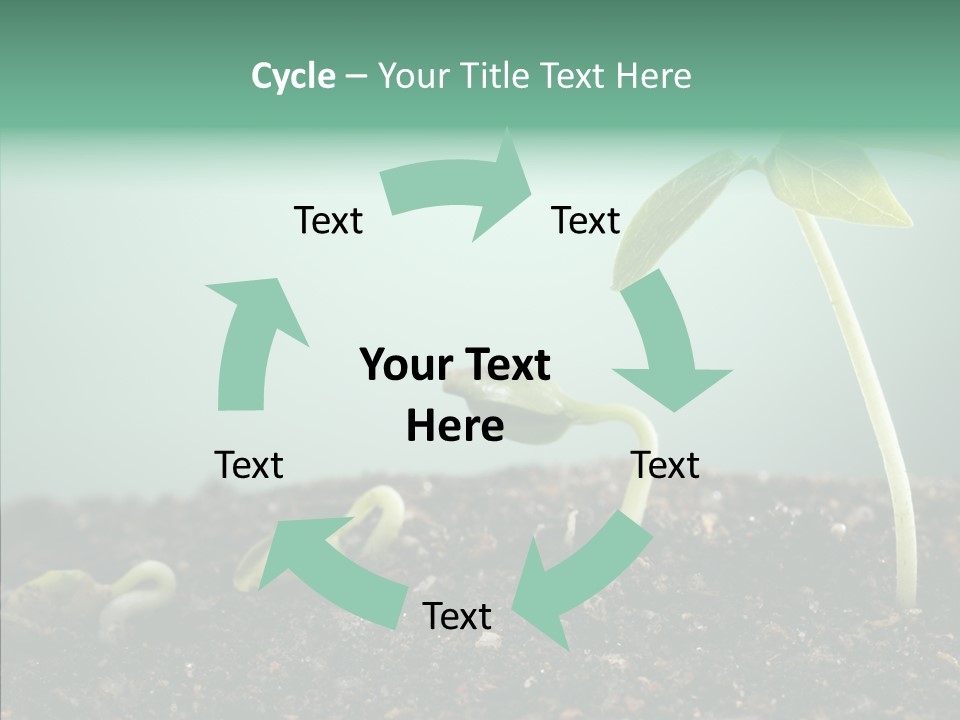 Botany Isolated Reforestation PowerPoint Template