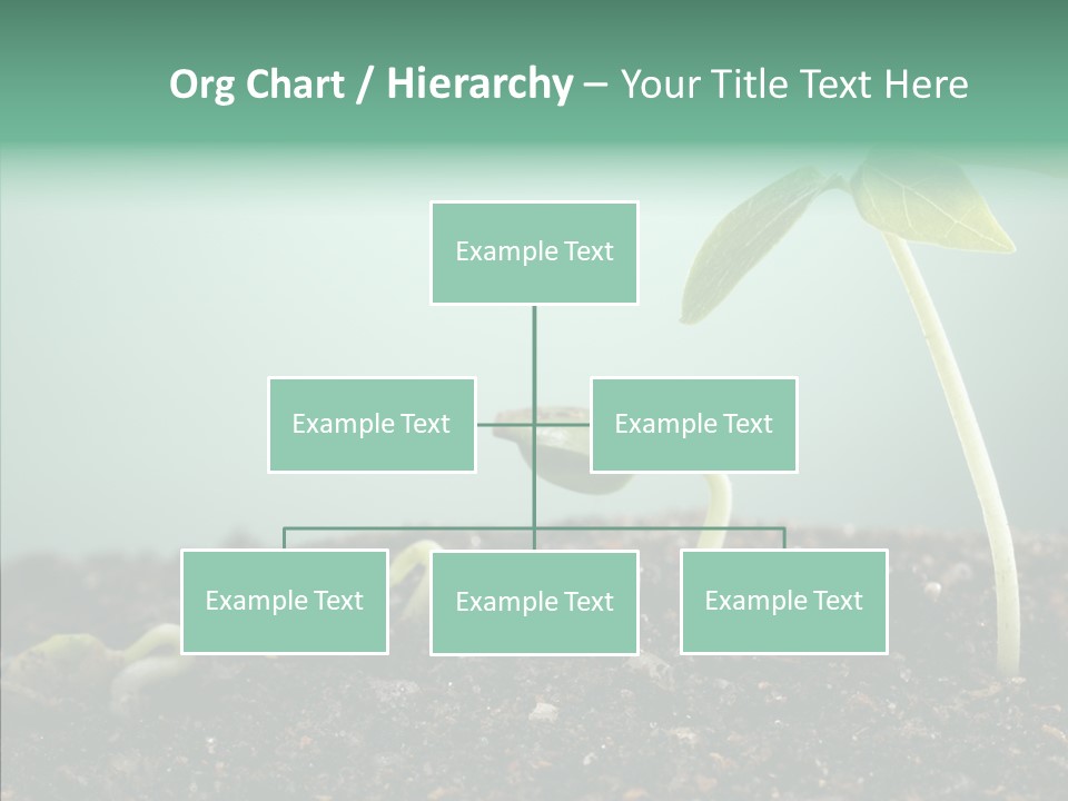 Botany Isolated Reforestation PowerPoint Template