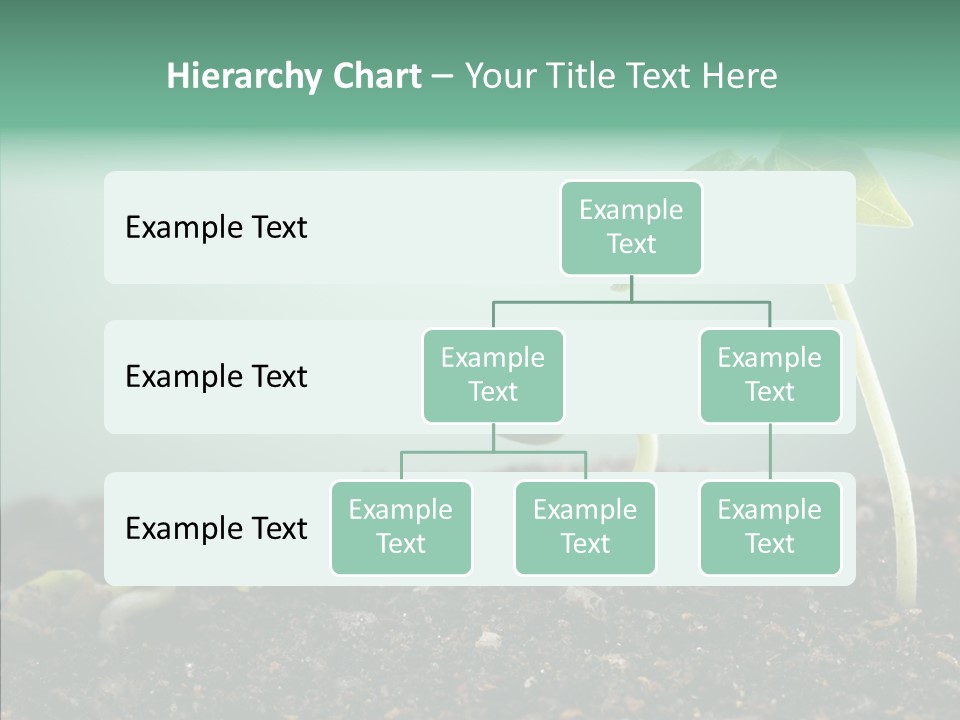 Botany Isolated Reforestation PowerPoint Template