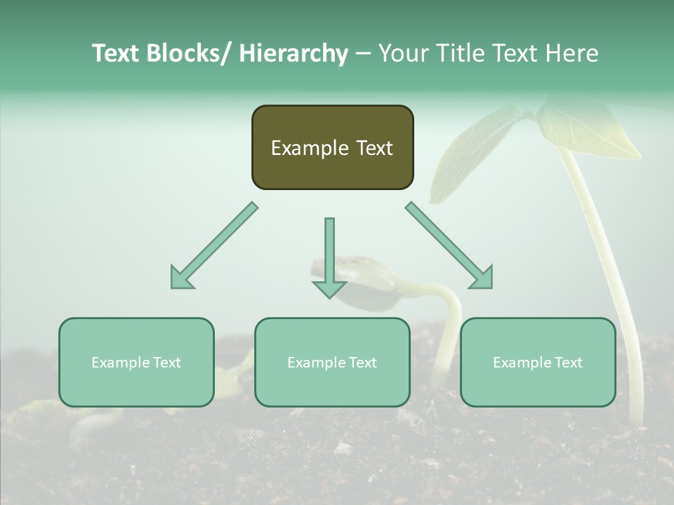 Botany Isolated Reforestation PowerPoint Template