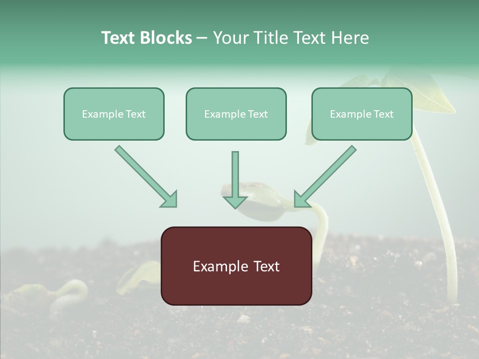 Botany Isolated Reforestation PowerPoint Template
