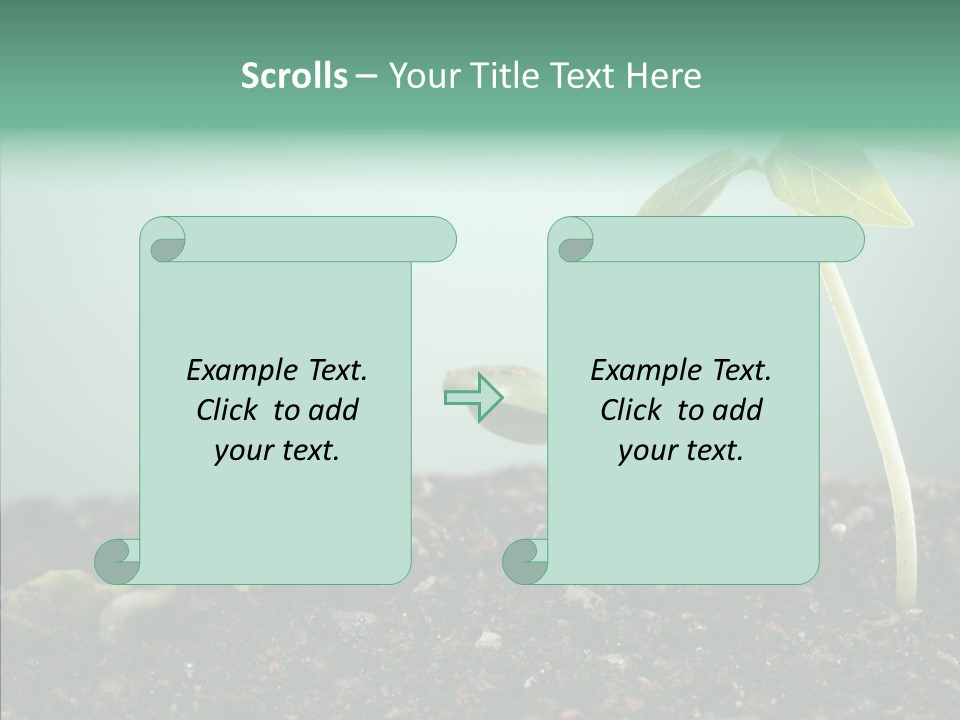 Botany Isolated Reforestation PowerPoint Template