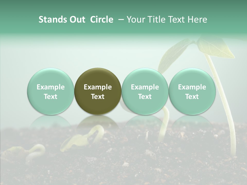 Botany Isolated Reforestation PowerPoint Template