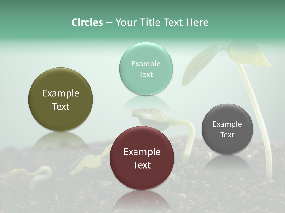 Botany Isolated Reforestation PowerPoint Template