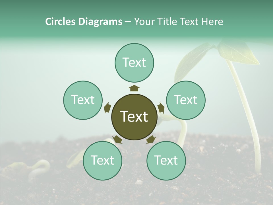 Botany Isolated Reforestation PowerPoint Template