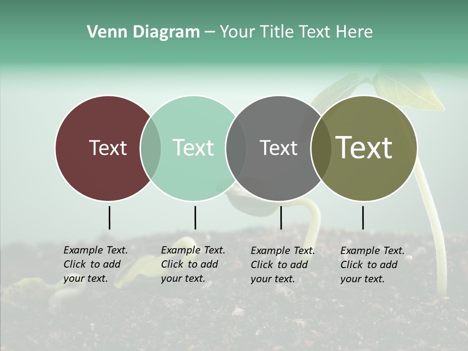 Botany Isolated Reforestation PowerPoint Template