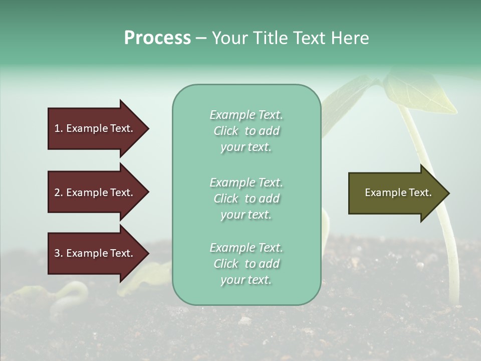 Botany Isolated Reforestation PowerPoint Template