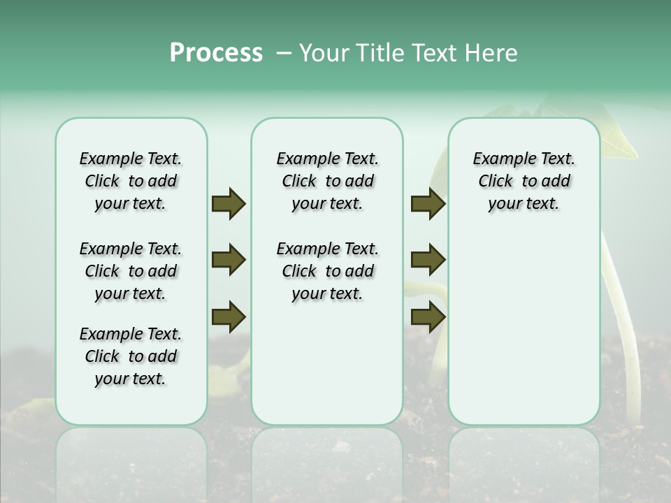 Botany Isolated Reforestation PowerPoint Template