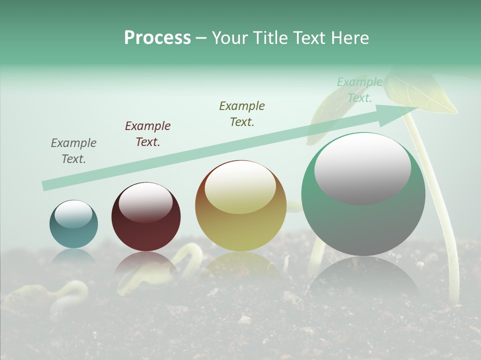 Botany Isolated Reforestation PowerPoint Template