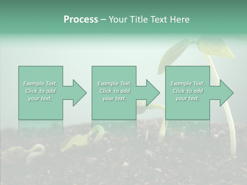 Botany Isolated Reforestation PowerPoint Template