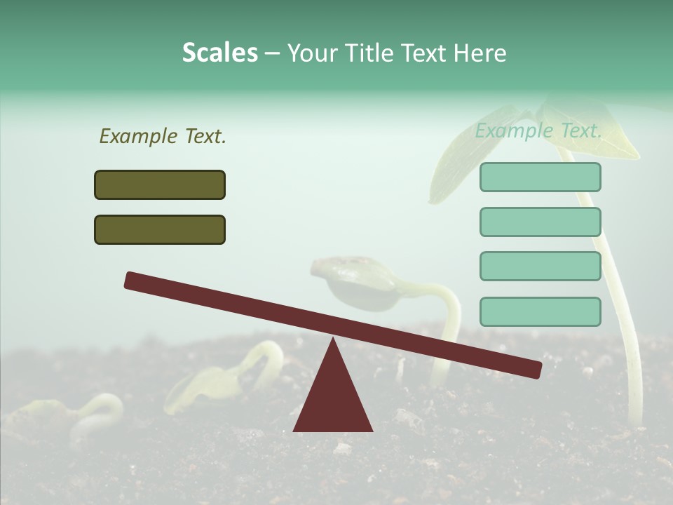 Botany Isolated Reforestation PowerPoint Template