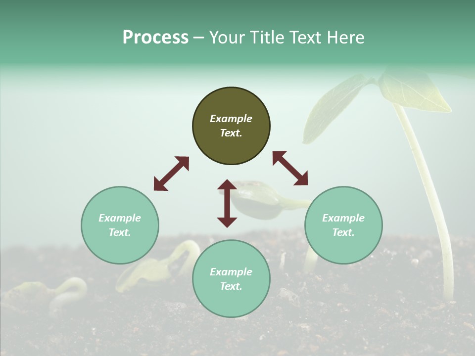 Botany Isolated Reforestation PowerPoint Template