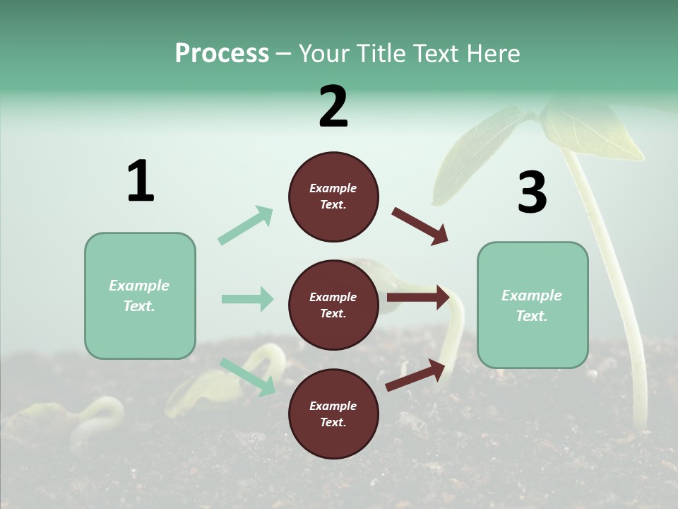 Botany Isolated Reforestation PowerPoint Template