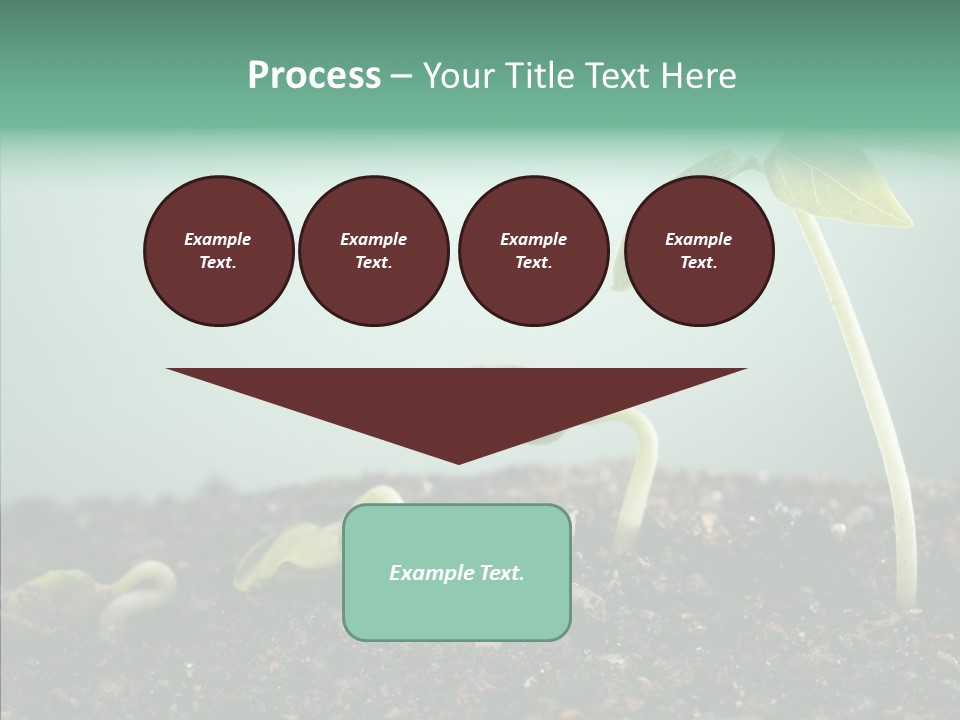 Botany Isolated Reforestation PowerPoint Template