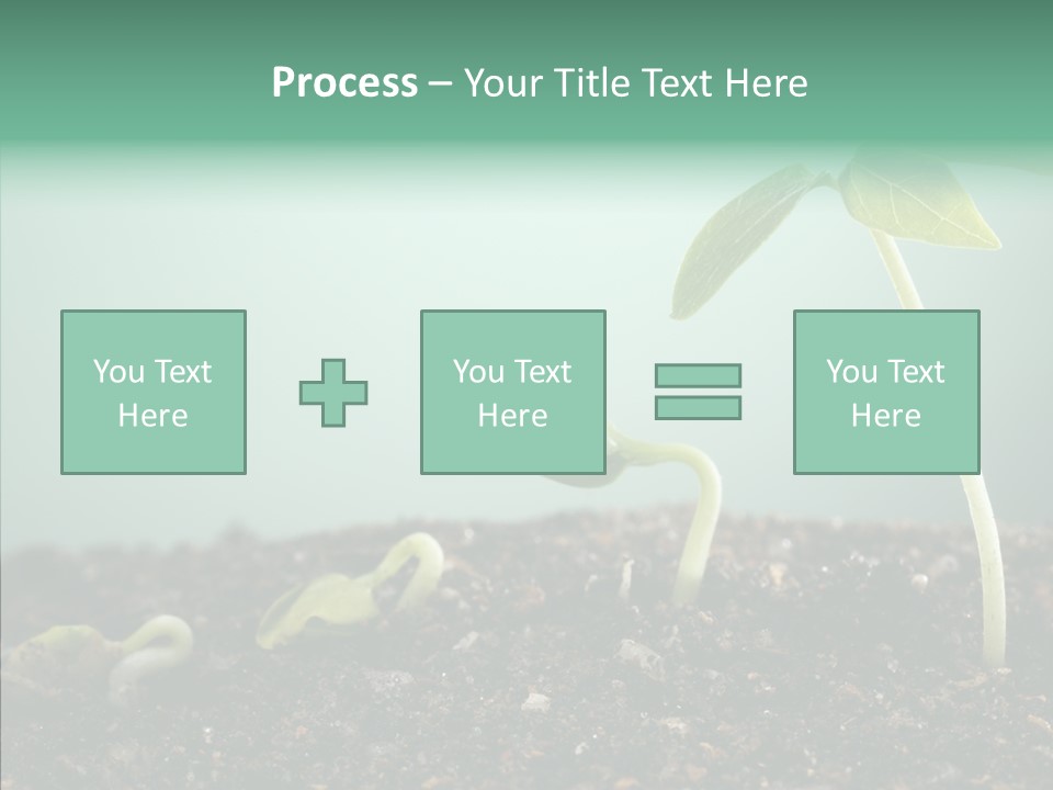 Botany Isolated Reforestation PowerPoint Template