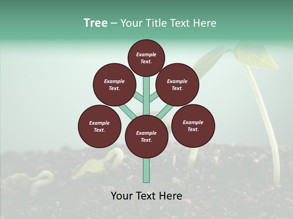Botany Isolated Reforestation PowerPoint Template