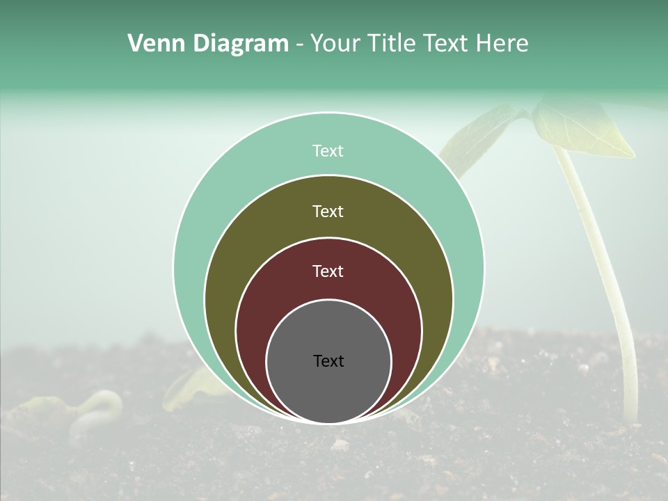 Botany Isolated Reforestation PowerPoint Template