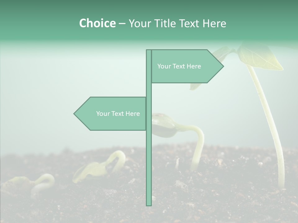 Botany Isolated Reforestation PowerPoint Template