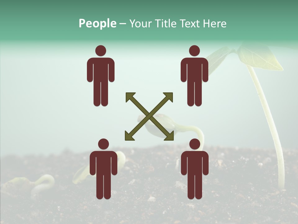 Botany Isolated Reforestation PowerPoint Template