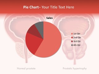 Management Character Bu Ine PowerPoint Template