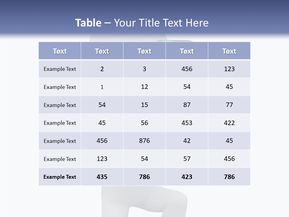 Person Freelance Photography PowerPoint Template