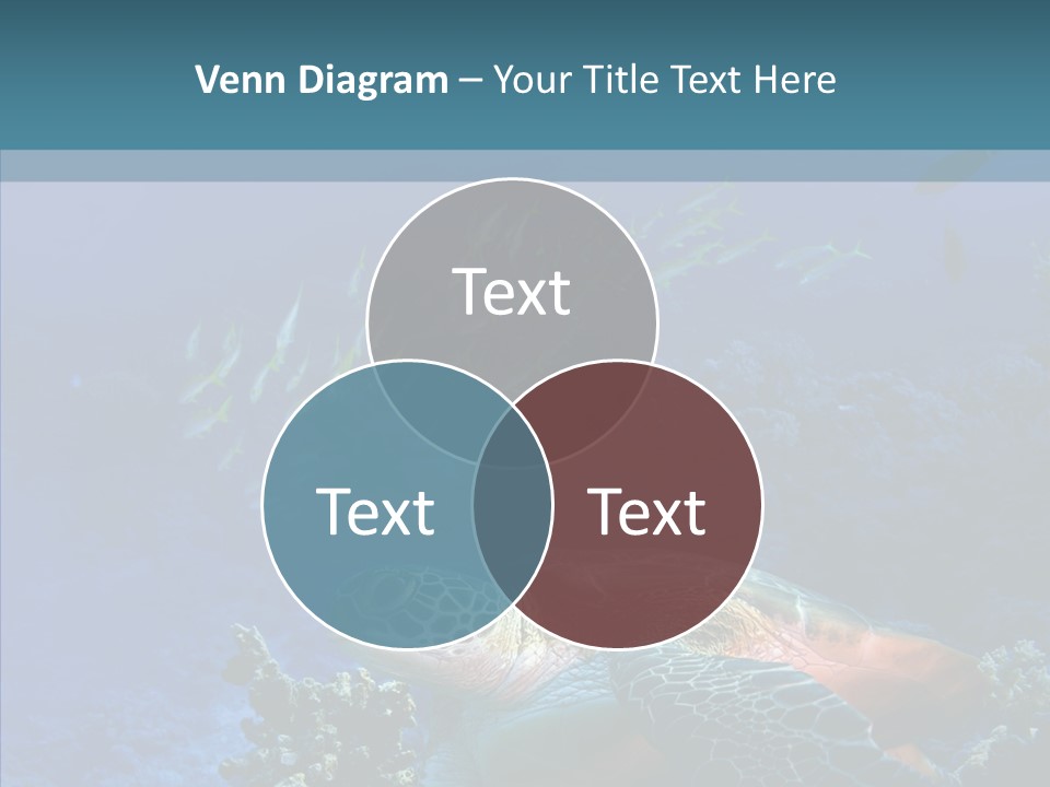 Outdoors Green Red PowerPoint Template