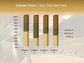 Helmet Sky Ornamental PowerPoint Template