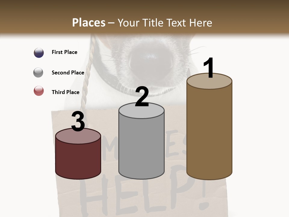 Board Sign Life PowerPoint Template