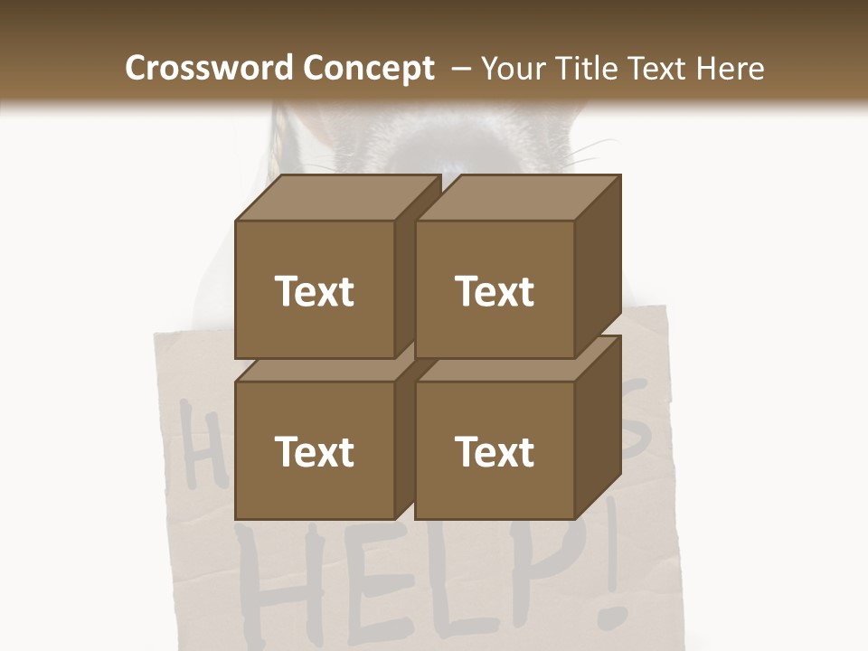 Board Sign Life PowerPoint Template