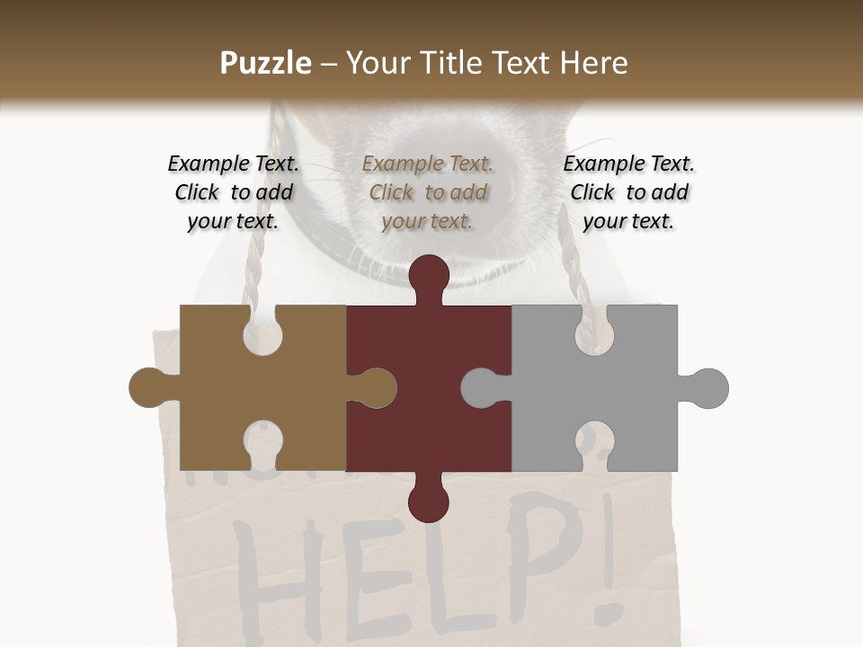 Board Sign Life PowerPoint Template