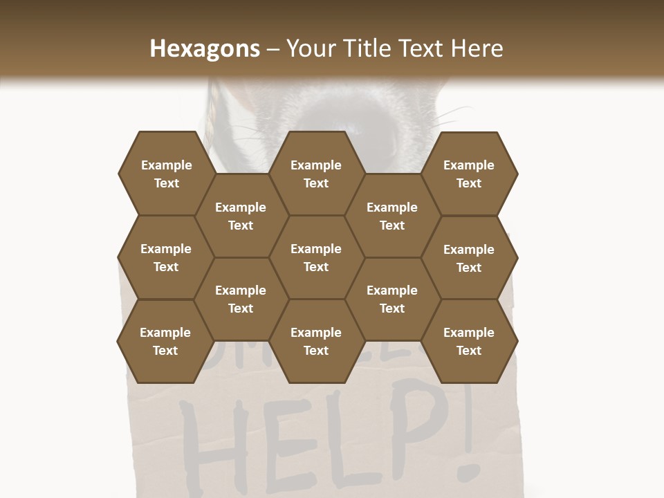 Board Sign Life PowerPoint Template