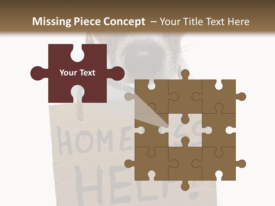 Board Sign Life PowerPoint Template