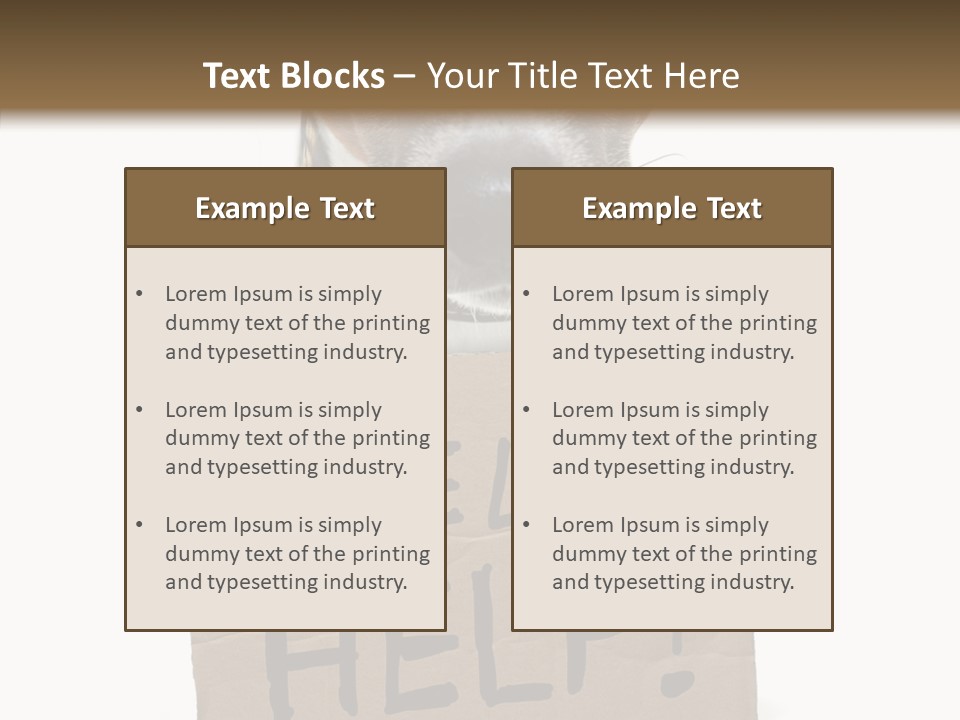 Board Sign Life PowerPoint Template