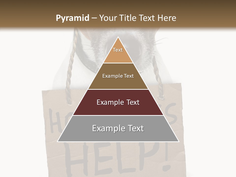 Board Sign Life PowerPoint Template