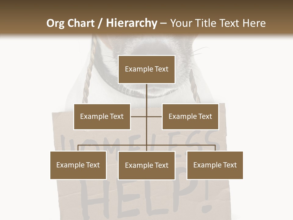 Board Sign Life PowerPoint Template