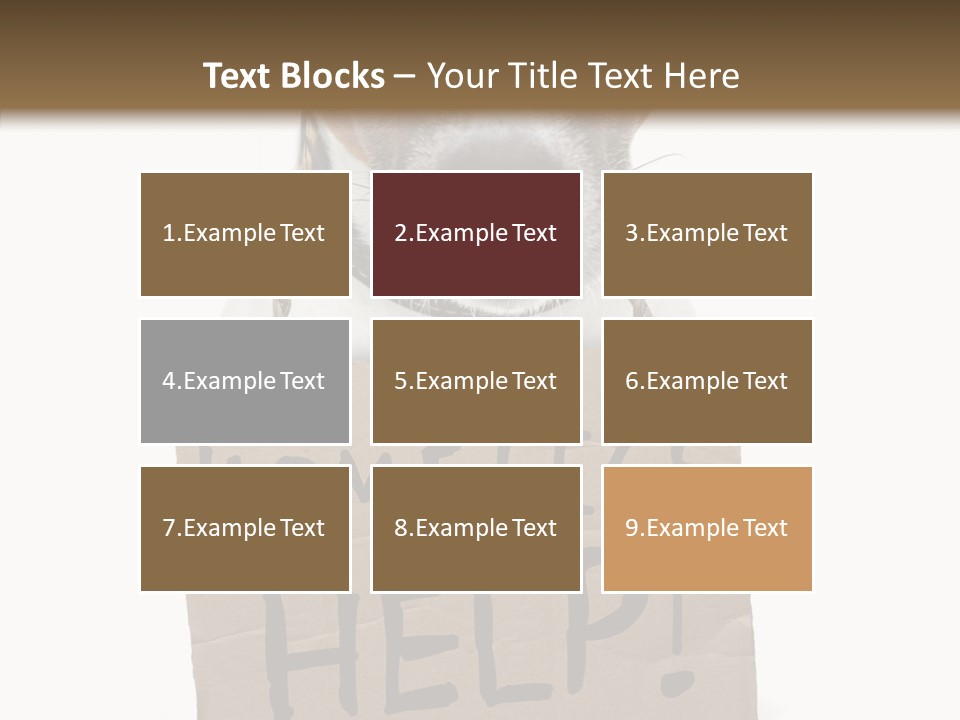 Board Sign Life PowerPoint Template