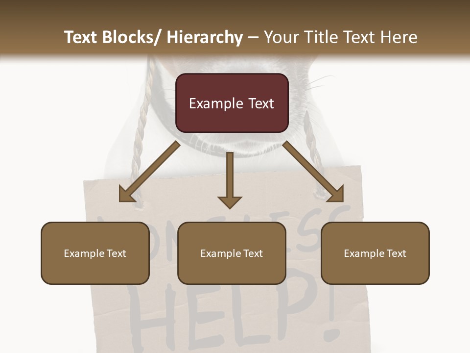 Board Sign Life PowerPoint Template